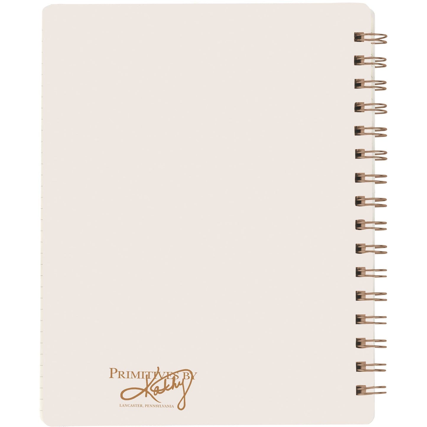 Reminders I Am Amazing Spiral Notebook