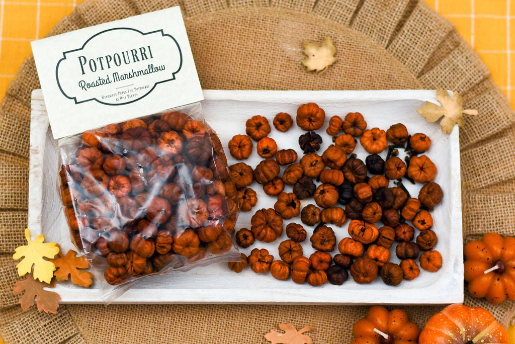 Mini Pumpkin Potpourri