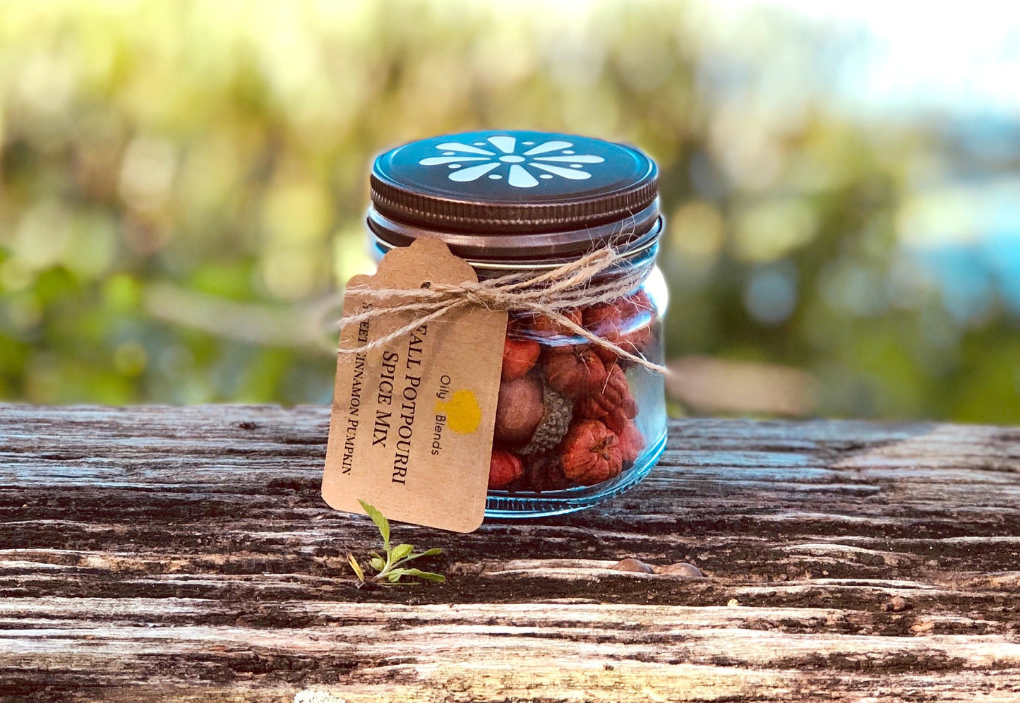 Fall Essential Oil Spiced Pumpkin Mix in Jars