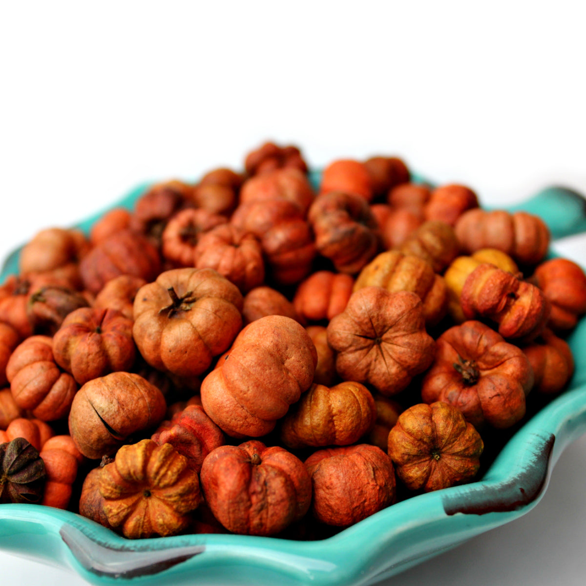 Mini Pumpkin Potpourri