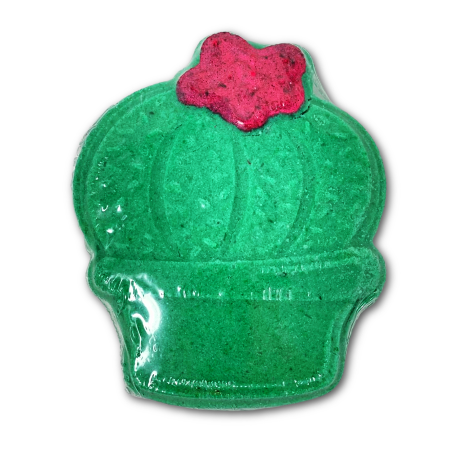 Succulent Plant with Bloom Summer Bath Bombs