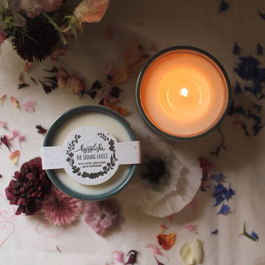 Willow | Growing Candle, 10 oz soy, wildflower seed label