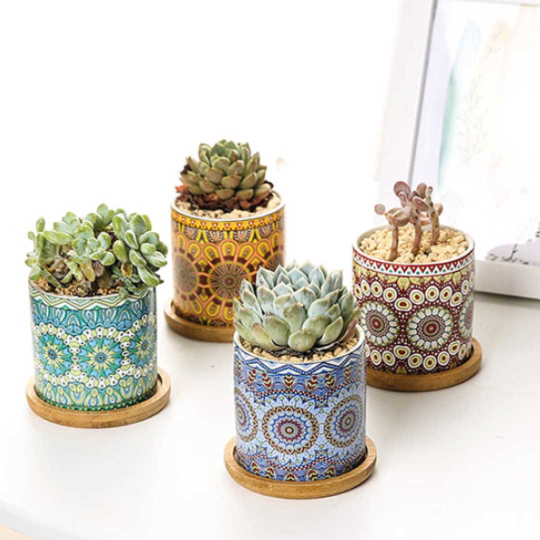 ClaudiaG Mandala Planter (Set of 4)