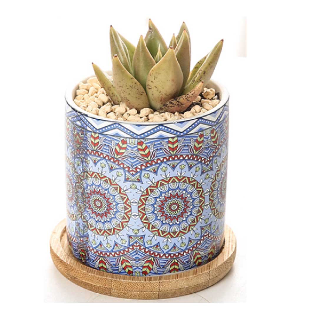 ClaudiaG Mandala Planter (Set of 4)