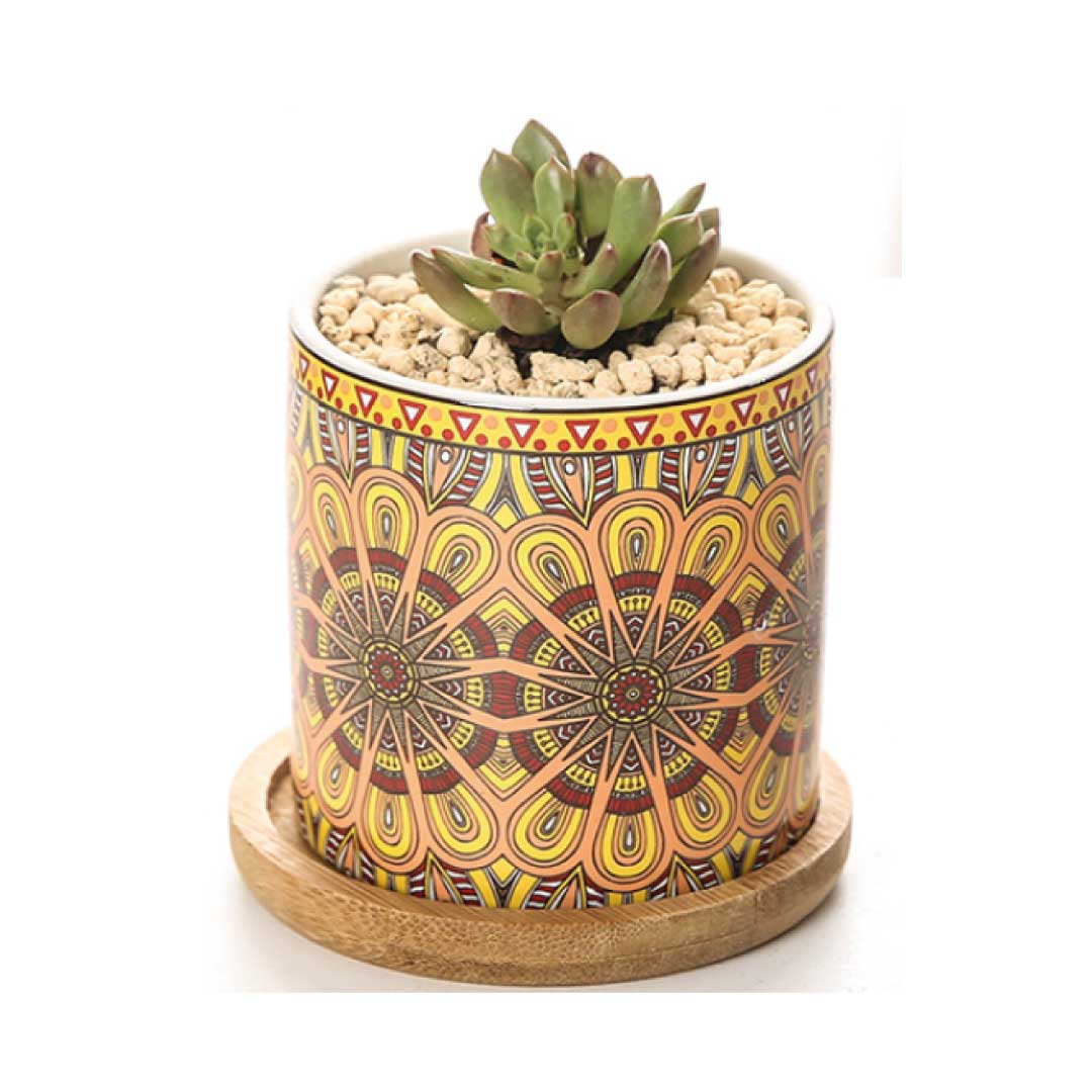 ClaudiaG Mandala Planter (Set of 4)