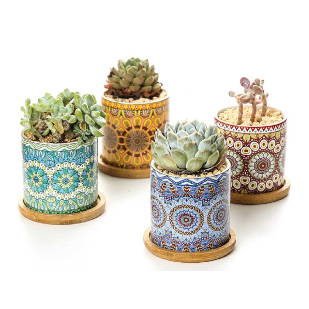 ClaudiaG Mandala Planter (Set of 4)